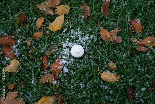 Chapel Hill, NC: remnants of a snowman on green grass photo