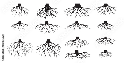 Various realistic tree roots, shrub roots. Parts of plant, root system tree stump. Dendrology, woody plants. Sketch doodle drawing.