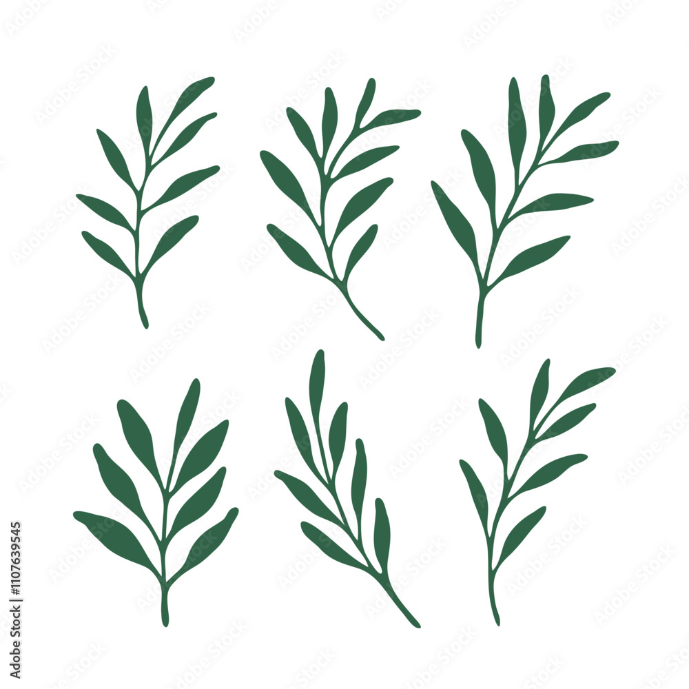 Hand drawn illustration of different leaves. Boho element for your design. Abstract set with minimalist leaves. Hand drawn illustration of different leaves. Boho element for your design. Abstract set with minimalist leaves.