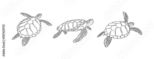 Stripes sea turtle swimming. realistic sea turtle doodle hand drawn isolated line black icon 