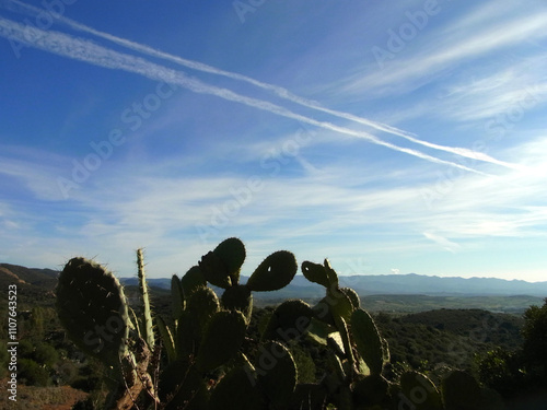 Scie chimiche photo