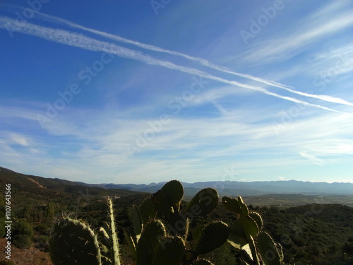 Scie chimiche photo