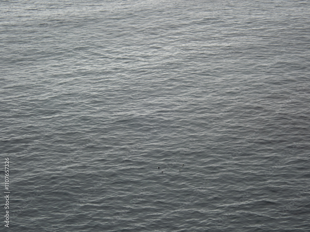 Fototapeta premium Abstraction in water