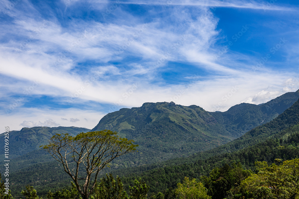 Fototapeta premium landscape with clouds