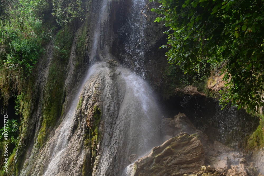 Obraz premium waterfall in the woods