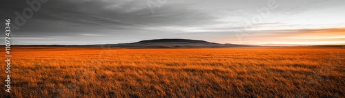 A vast, golden field stretches under a dramatic sky, blending warm hues of orange and grey, creating a serene landscape at sunset.