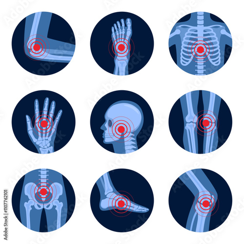XRayBonesRound-02.eps