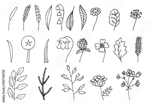 Hand-drawn set of herbs, plants, twigs and wild flowers. Vintage vector botanical elements for prints, label, banner, frames and borders
