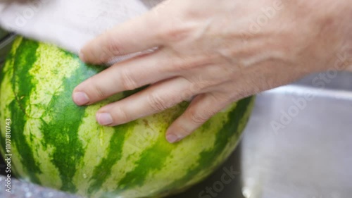 Watermelon is wiped with a towel after washing with water in the sink. hygiene in the kitchen. Preparation and processing of products