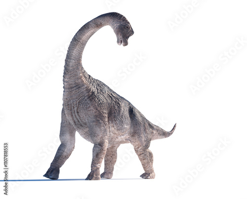 Large dinosaur with a long neck stands on a white background in a playful pose resembling its ancient habitat