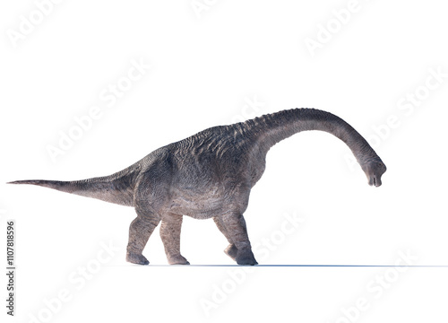 Large dinosaur with a long neck stands on a white background in a playful pose resembling its ancient habitat