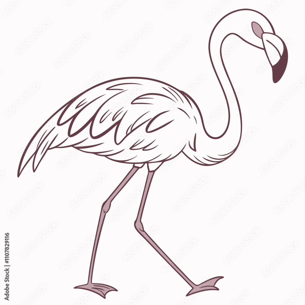 Fototapeta premium bird flamin vector white bactgrount.