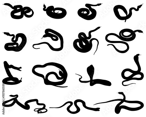 Black silhouette of snakes on a white background	