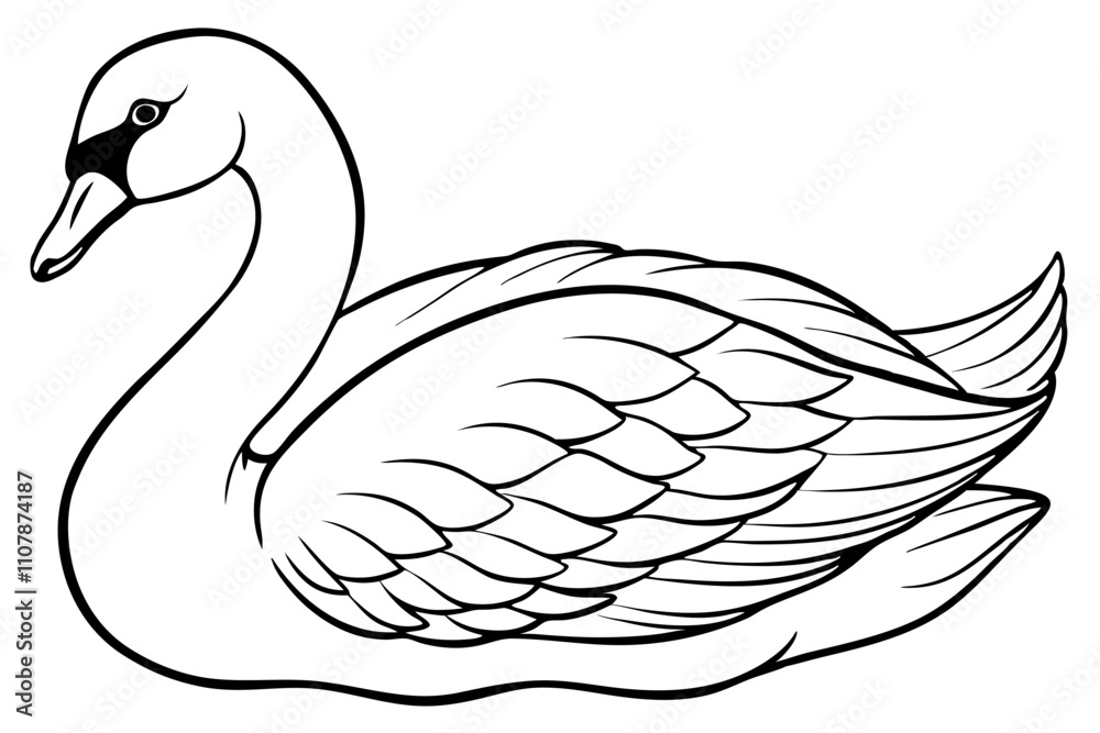 Obraz premium black and white swan