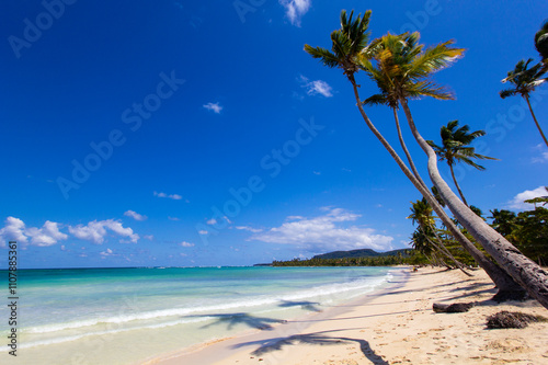 Caribbean beach on Samaná peninsula, Dominican Republic 