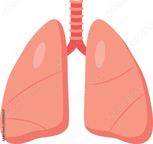 Detailed illustration of human lungs and respiratory system, emphasizing healthy breathing for wellness. Shows trachea to alveoli, vital for good health
