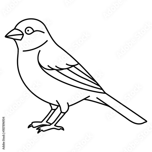 Canary