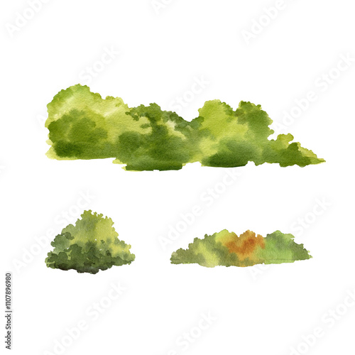 watercolor set of different green trees and shrubs, hand drawn illustration of various foliage, part of forest and parks, for landscape design plan and nature pictures