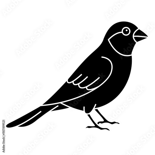 Canary