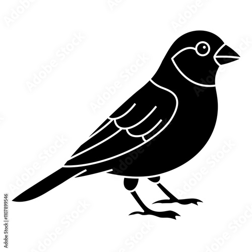 Canary