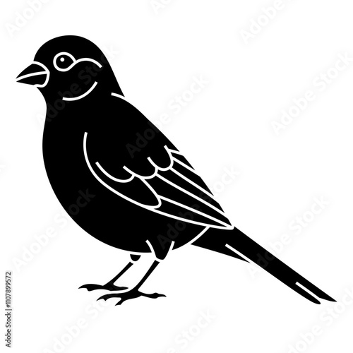 Canary