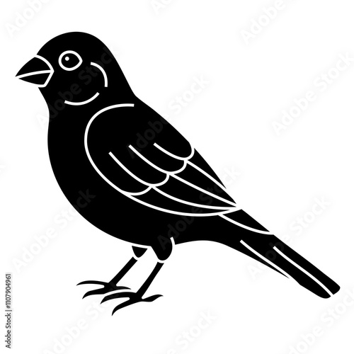 Canary
