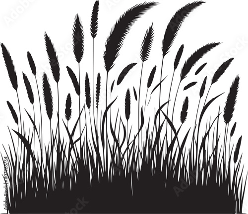 grass silhouette vector illustration white background