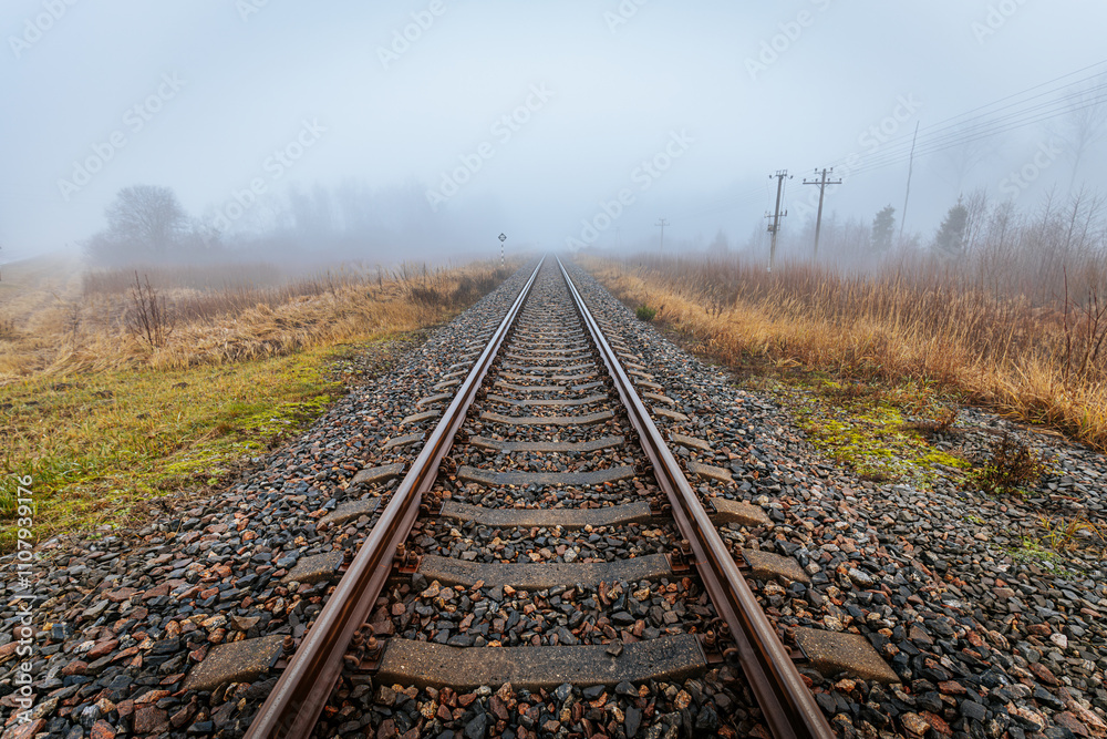Obraz premium Straight railroad tracks surrounded by foggy fields and grass, leading into the horizon. The mist and muted colors evoke solitude and serenity.