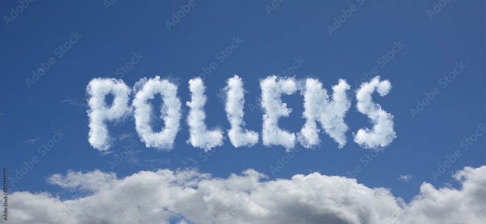 Fototapeta premium pollens nuages