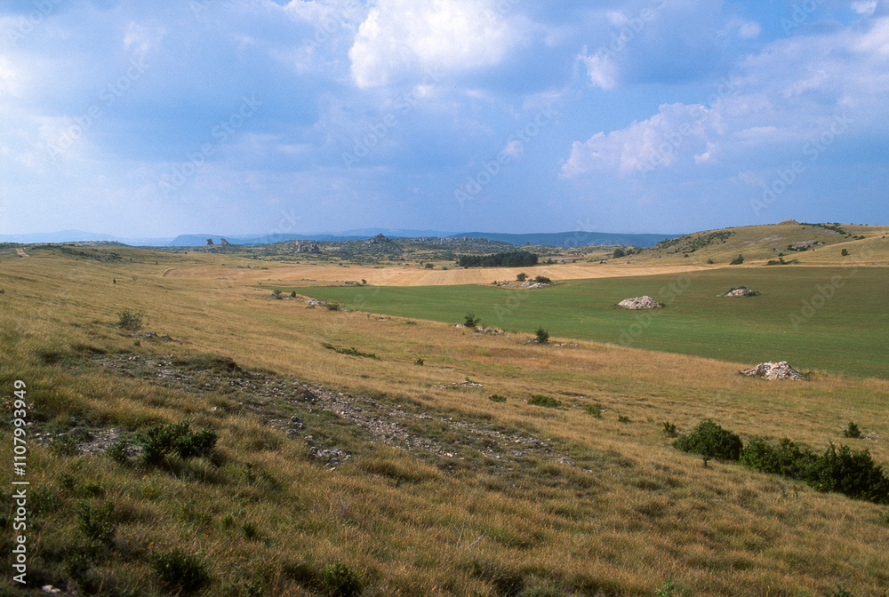 Obraz premium Plateau du Larzac, Causse Larzac, Parc naturel régional des Grands Causses, 12, Aveyron, France