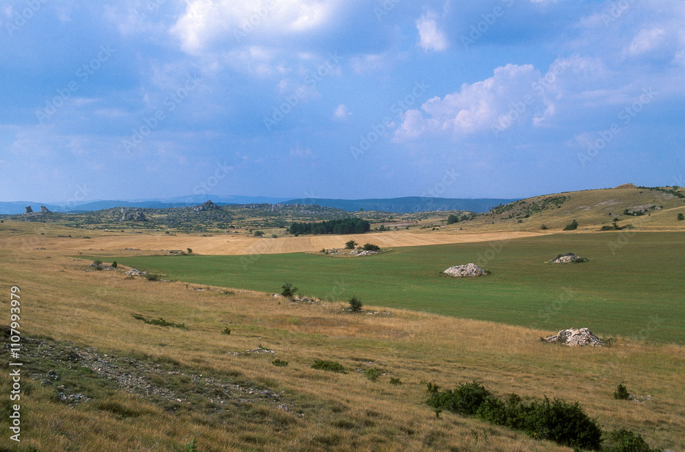 Obraz premium Plateau du Larzac, Causse Larzac, Parc naturel régional des Grands Causses, 12, Aveyron, France