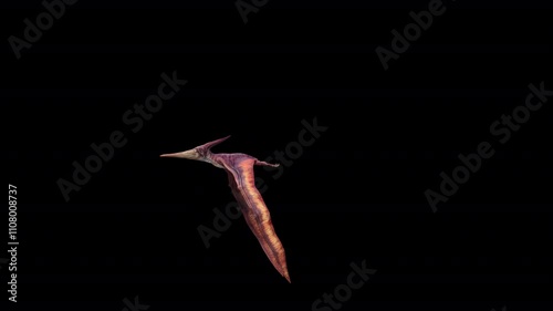 Pteranodon Fly Loop 3D Video Animation photo