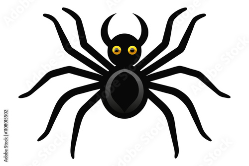 spider on white background