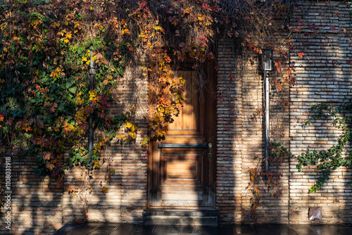 Vibrant autumn foliage embraces a rustic doorway, reflecting the enchanting beauty of Tbilisi in fall.