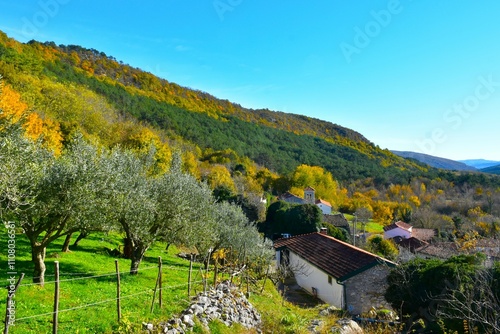 Smokvica village in Istria Primorska, Slovenia with a autumn colored forest and a olive grove covering the hill above d n photo