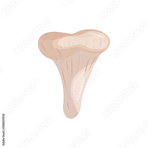 Chanterelle on a white background vector illustration.
