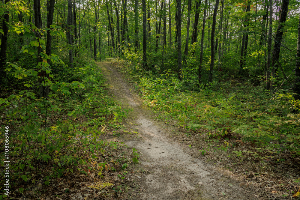 Obraz premium Chippewa Hills 2024-2