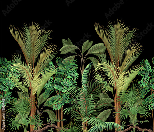 Border with different palm trees. Tropical vector.