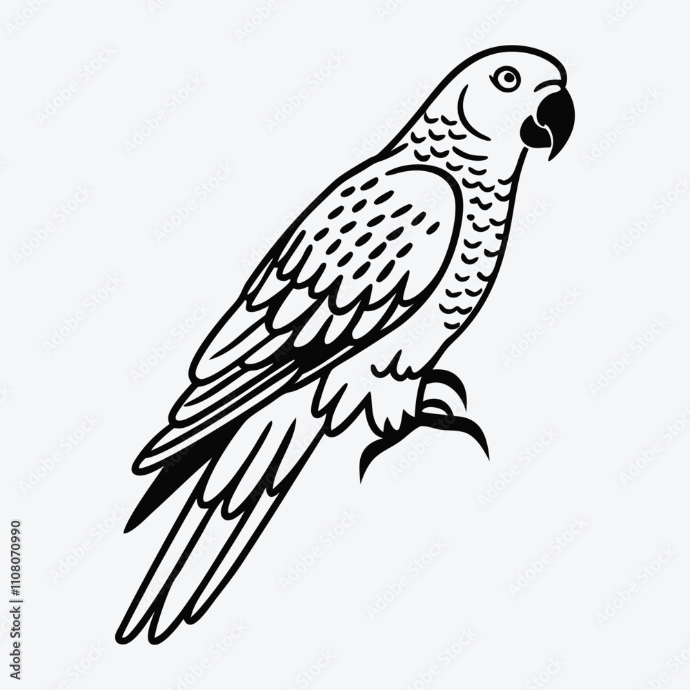 Fototapeta premium African Grey Parrot line art White background illustration Generative Ai