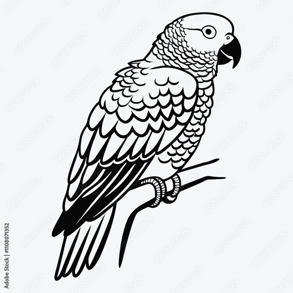 Fototapeta premium African Grey Parrot line art White background illustration Generative Ai
