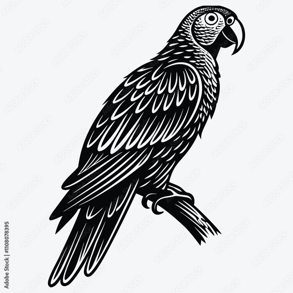 Fototapeta premium African Grey Parrot Silhouette White background illustration. Generative Ai