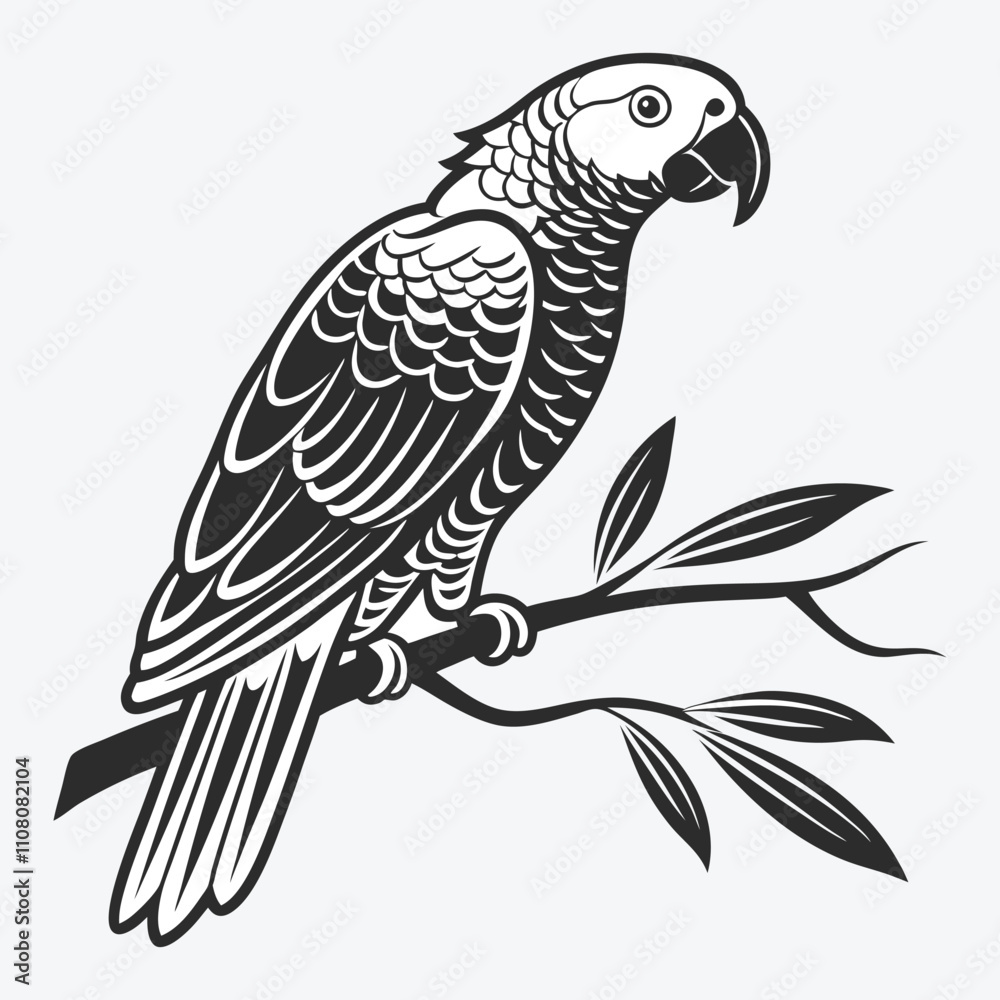 Fototapeta premium African Grey Parrot vector White background illustration Generative Ai