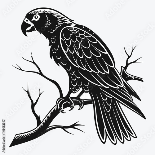 African Grey Parrot vector White background illustration Generative Ai