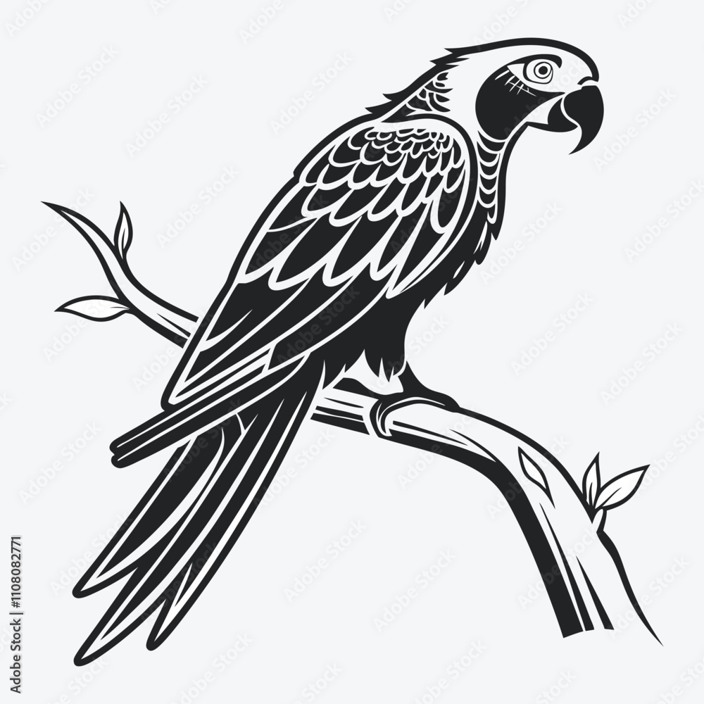 Fototapeta premium African Grey Parrot vector White background illustration Generative Ai