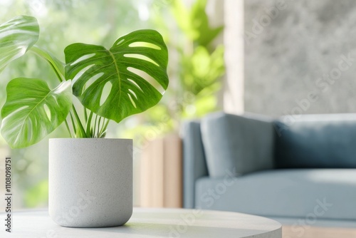Indoor potted plant with lush green leaves on wooden table in a bright living space