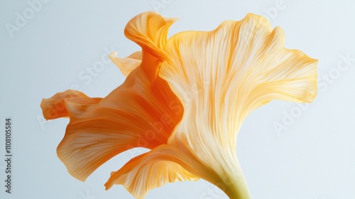 Delicate Orange Flower Petal Swirl Design