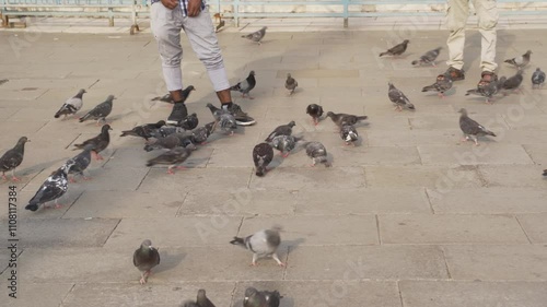 Man feedig pigeons in venice italy photo