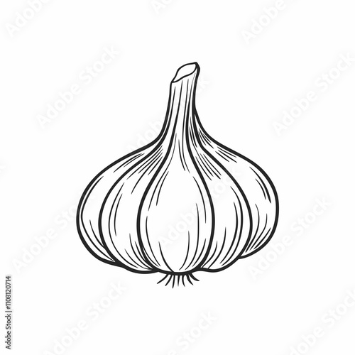 Garlic bulb line drawing on white background, minimalistic outline illustration for culinary visuals, recipe websites or eco-themed food branding. Concept: vegetable packaging design, cooking blog, he