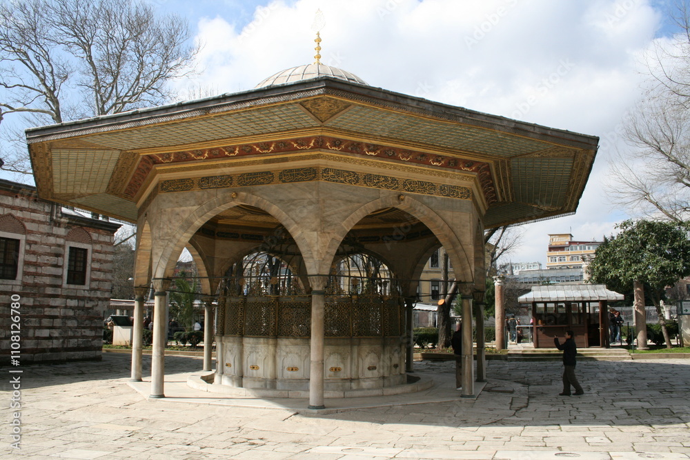 Obraz premium Journey to Istanbul. Spring 2010