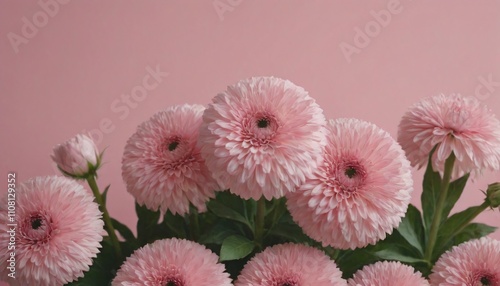 Artistic flower background in different kind of flowers roses and more